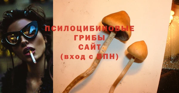 мескалин Бородино