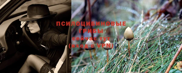 мескалин Бородино