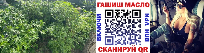 хочу наркоту  Северодвинск  Дистиллят ТГК жижа 